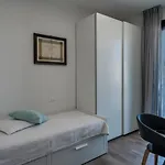 Relax Luxury Sirmio - Elegante Trilocale Con Piscina A Sirmione